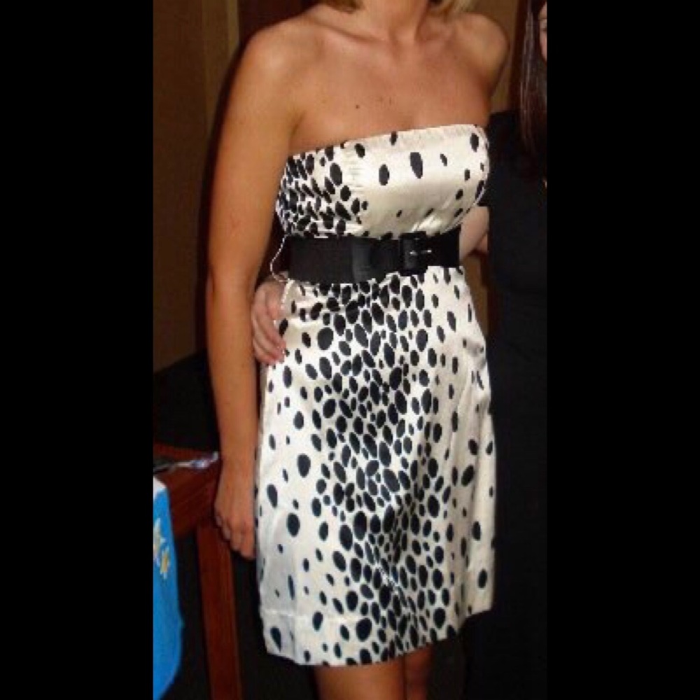 The Limited Dress